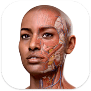 Complete Anatomy for Mac v11.5.0 3D人体解刨图谱和课程
